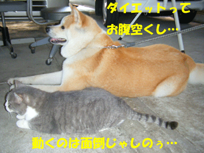 f0008935_1864230.gif