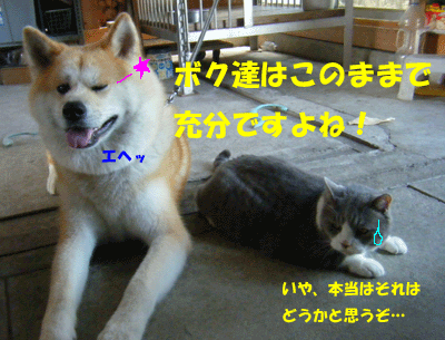 f0008935_1864951.gif