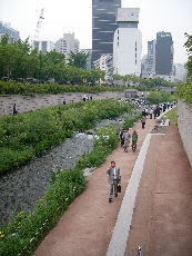 e0081339_155821.jpg