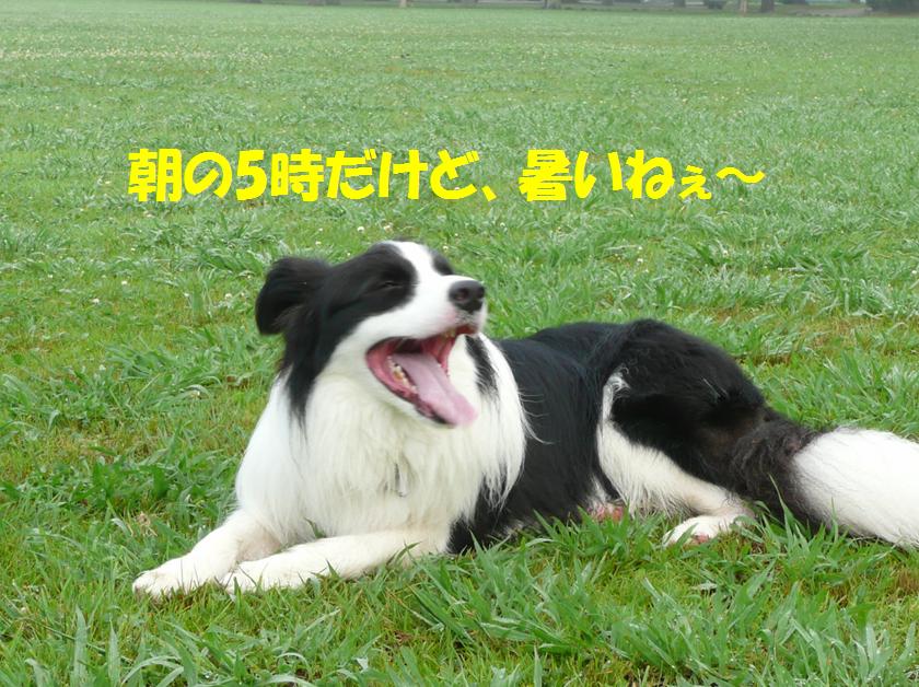 c0147241_21532431.jpg