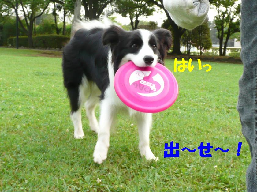 c0147241_21535933.jpg