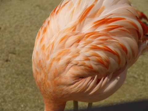 b0016043_16334941.jpg