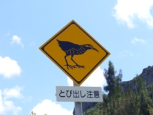 f0000644_23461148.jpg