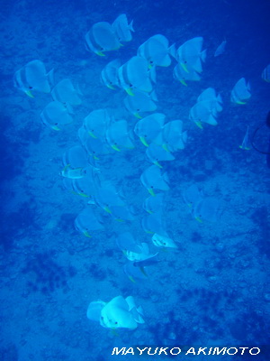 e0027447_17491615.jpg
