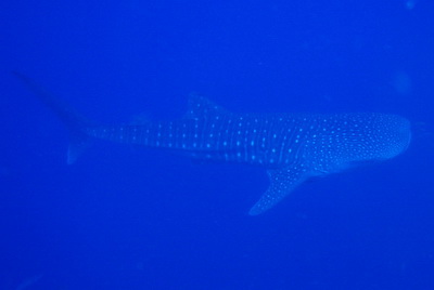 e0027447_17595854.jpg