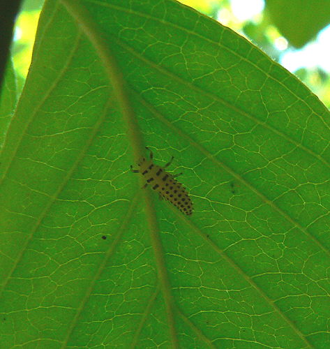 d0091754_17224979.jpg