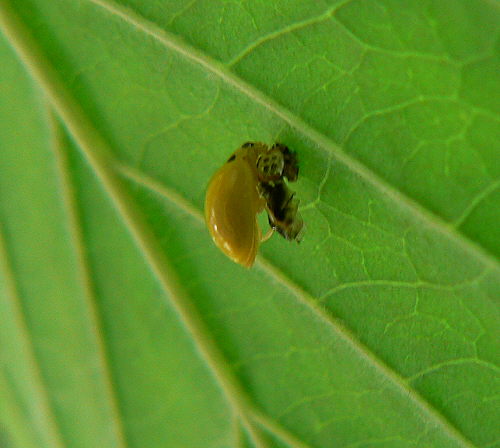 d0091754_17265150.jpg