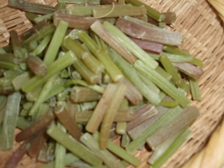 e0004756_20201432.jpg