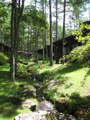 c0153259_23314616.jpg