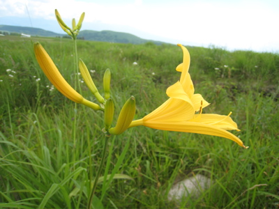 c0153259_2333851.jpg