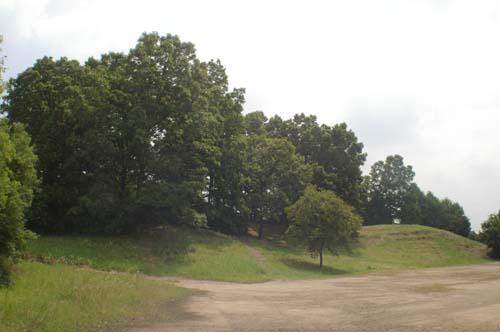 b0143978_1613620.jpg