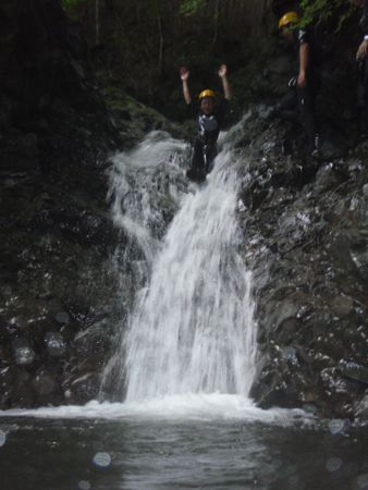 d0079579_834335.jpg