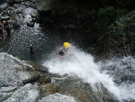 d0079579_8344183.jpg