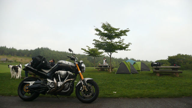 f0131382_10454880.jpg