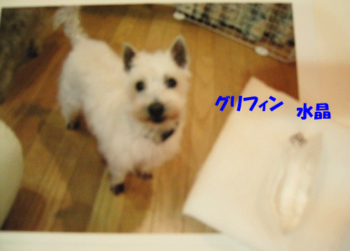 e0066883_232579.gif