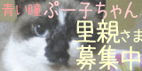 b0034284_9213363.gif