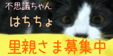 b0034284_922722.gif