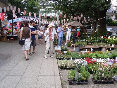 c0105785_1236656.jpg
