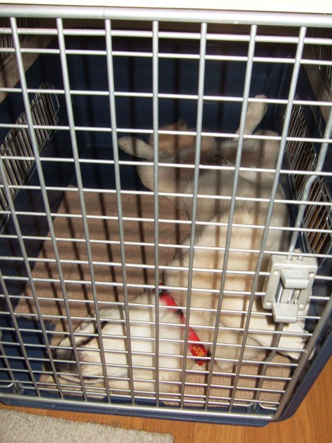 f0054290_158974.jpg