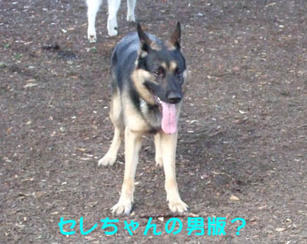 e0060693_22135685.jpg
