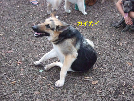 e0060693_22322667.jpg