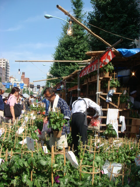 f0137694_0493287.jpg