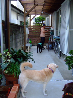 f0001698_2105487.jpg
