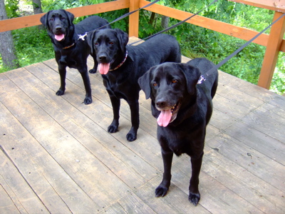 f0001698_221290.jpg