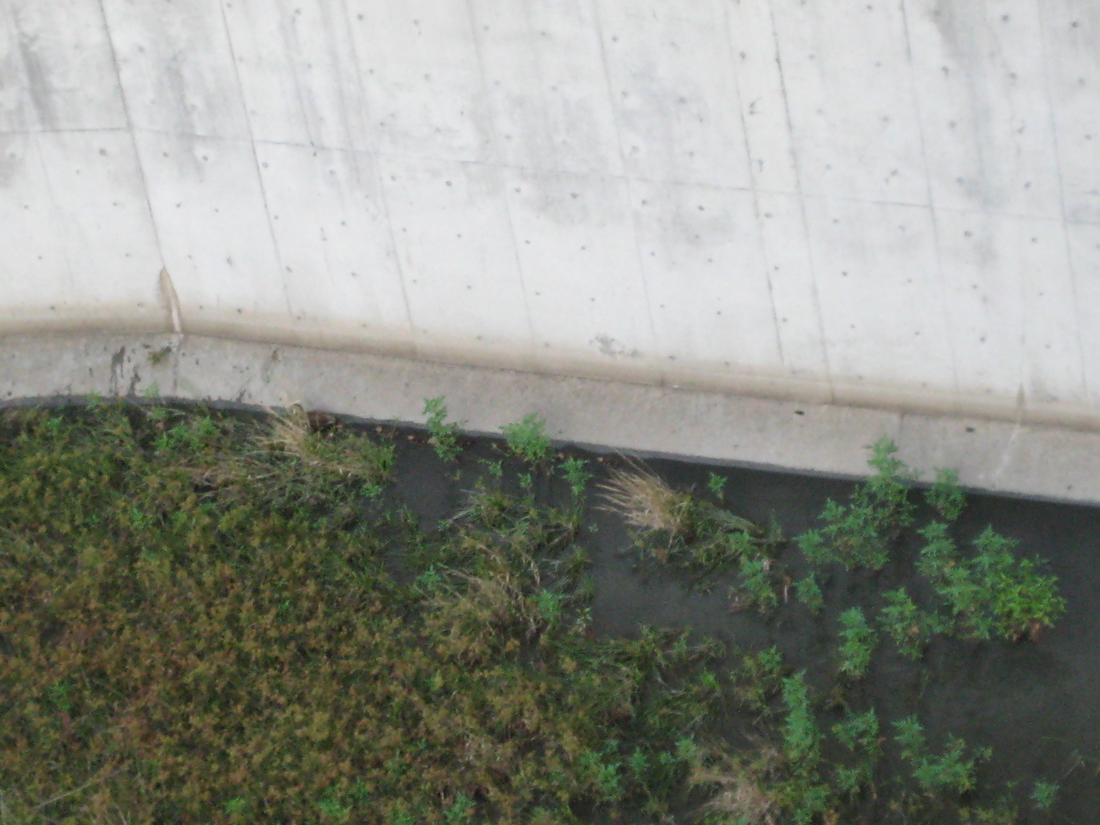 f0013998_5394577.jpg