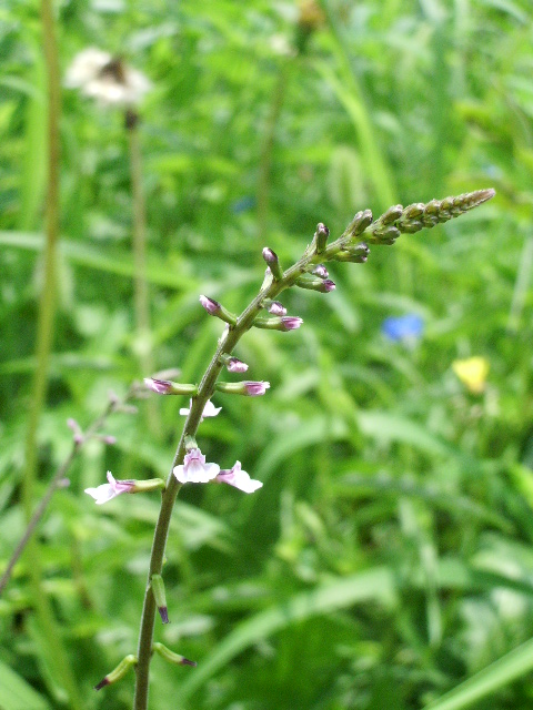 e0025300_20155371.jpg