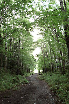 a0050802_17401310.jpg