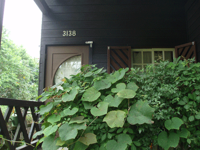 c0129702_2150393.gif