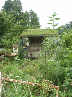 c0129702_21523184.gif