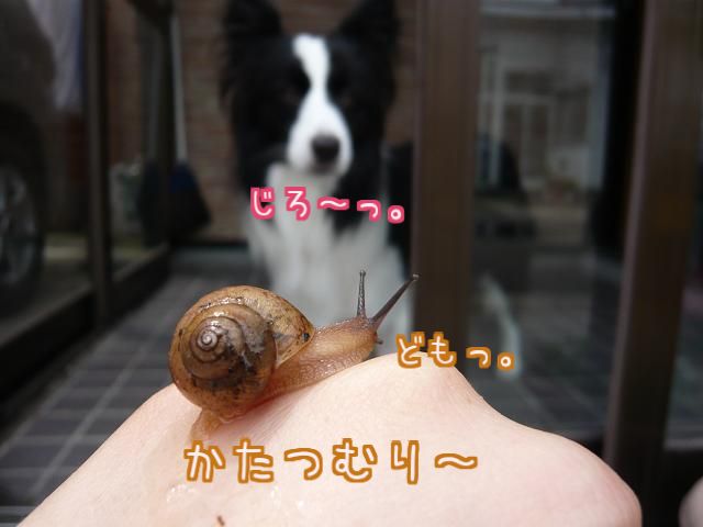 d0122403_12594238.jpg
