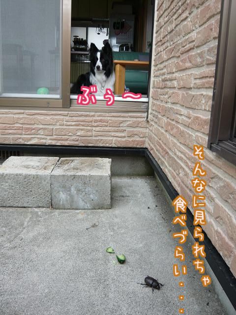 d0122403_13113191.jpg