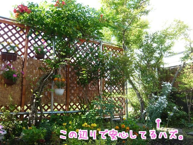 d0122403_13165571.jpg