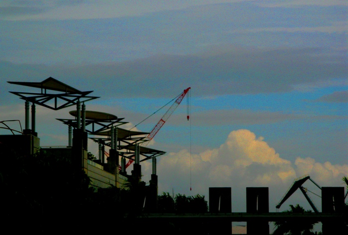 d0151003_165968.jpg