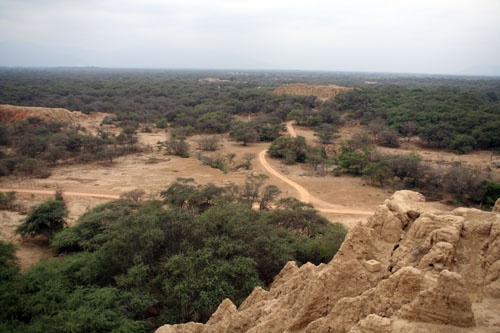 c0128605_12385786.jpg