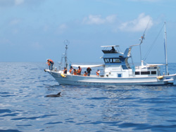 f0048405_2029237.jpg