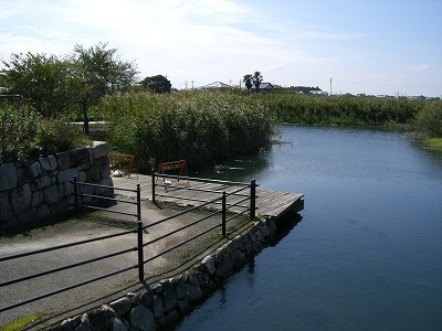 e0093407_1001222.jpg