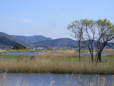 e0093407_9494719.jpg