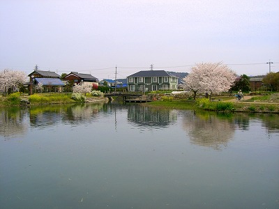 e0093407_9532682.jpg