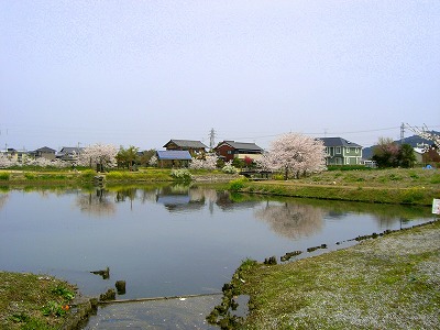 e0093407_9545093.jpg