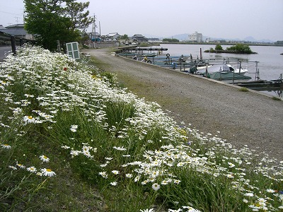 e0093407_9553016.jpg