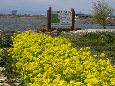 e0093407_9555311.jpg