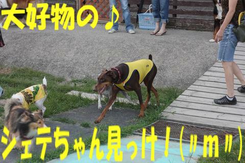 e0100007_17244991.jpg