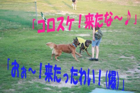 e0100007_17253642.jpg