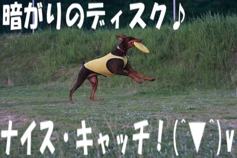e0100007_17262733.jpg