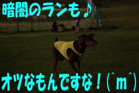 e0100007_17282483.jpg