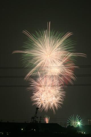 e0100007_1729542.jpg